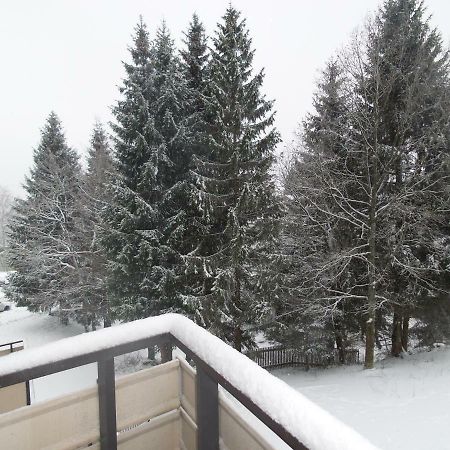 Ferienwohnung Mit Blick In Den Bayrischen Wald Oberhalb Von Sankt Engelmar Sankt Englmar Buitenkant foto