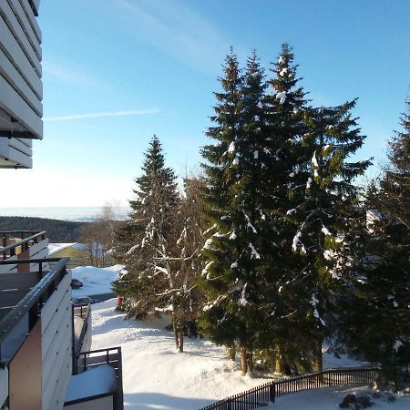 Ferienwohnung Mit Blick In Den Bayrischen Wald Oberhalb Von Sankt Engelmar Sankt Englmar Buitenkant foto