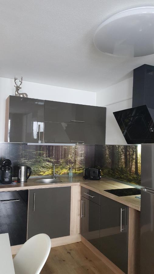 Ferienwohnung Mit Blick In Den Bayrischen Wald Oberhalb Von Sankt Engelmar Sankt Englmar Buitenkant foto