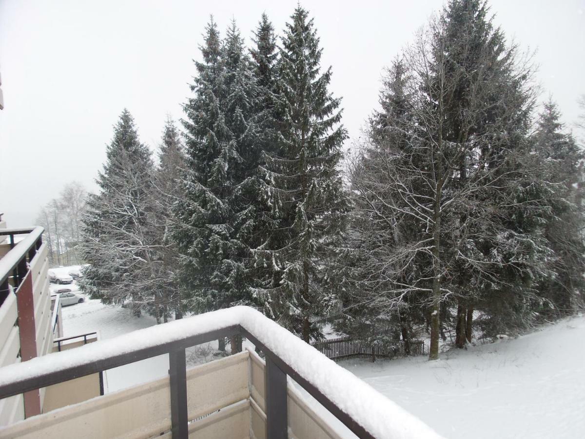 Ferienwohnung Mit Blick In Den Bayrischen Wald Oberhalb Von Sankt Engelmar Sankt Englmar Buitenkant foto