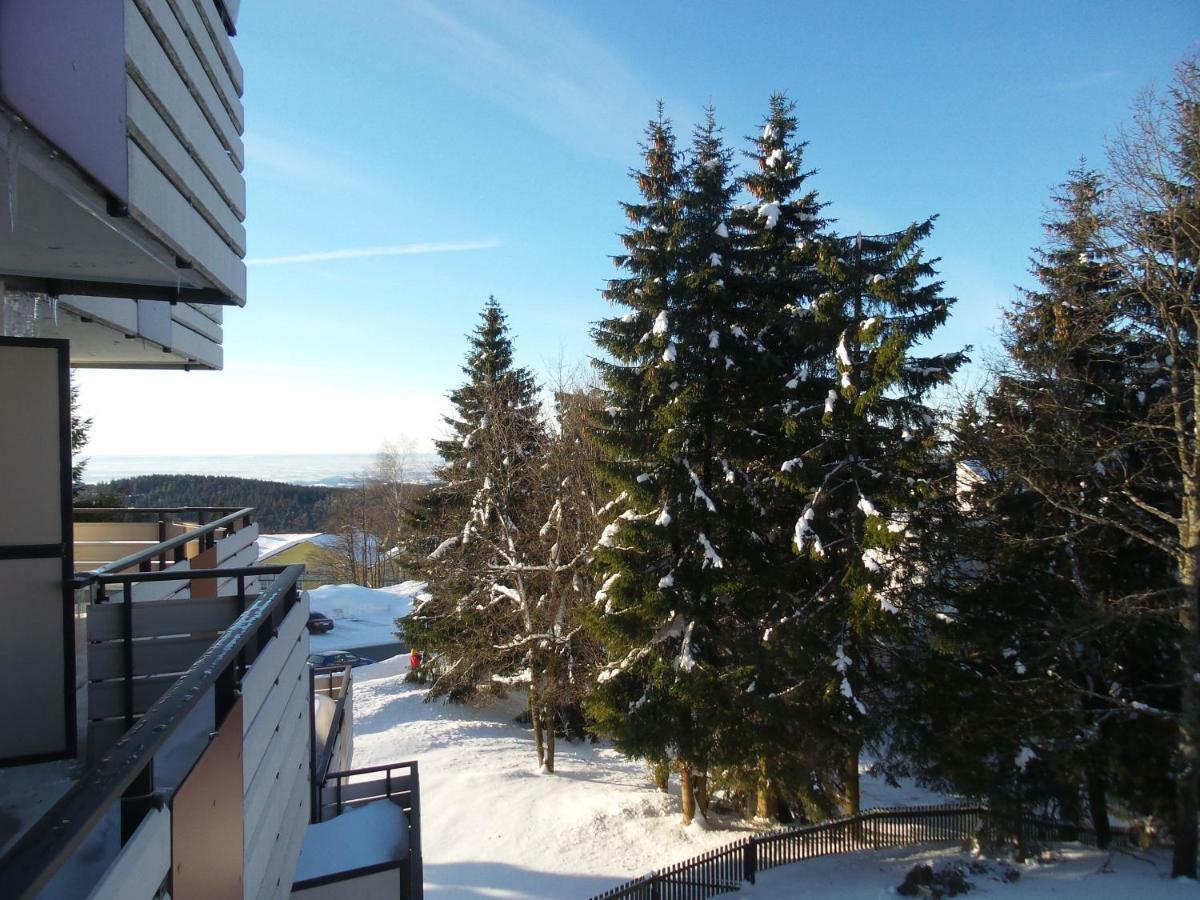 Ferienwohnung Mit Blick In Den Bayrischen Wald Oberhalb Von Sankt Engelmar Sankt Englmar Buitenkant foto